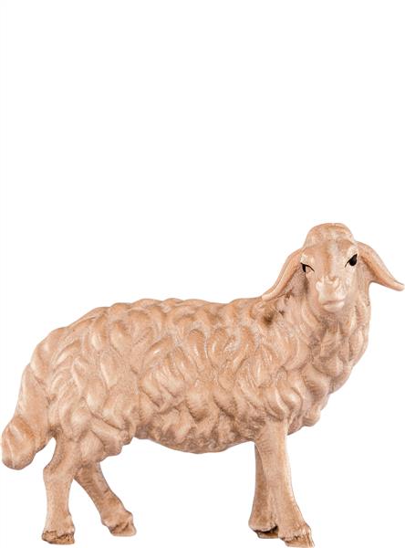Schaf stehend