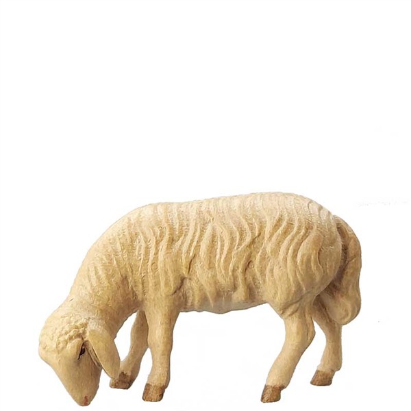 Abweidendes Schaf
