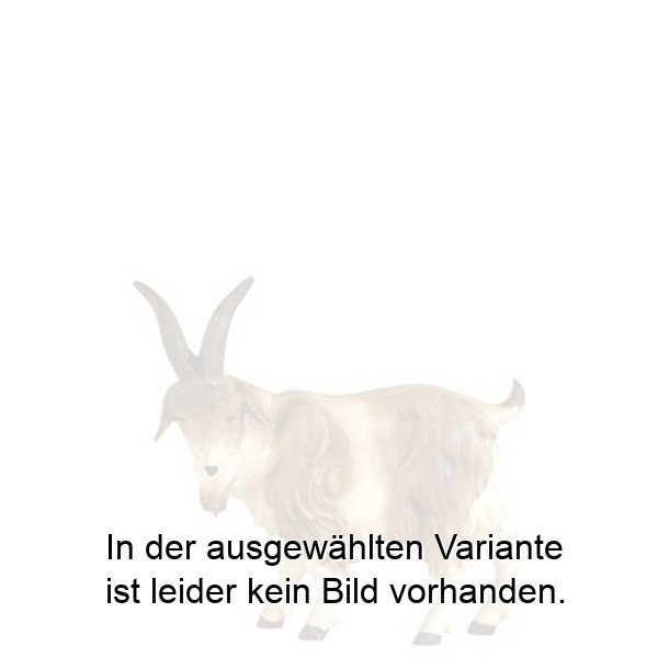 Ziegenbock Ziegenbock