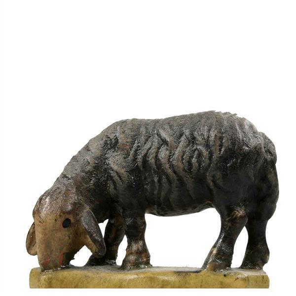 Schaf äsend schwarz Schaf äsend schwarz