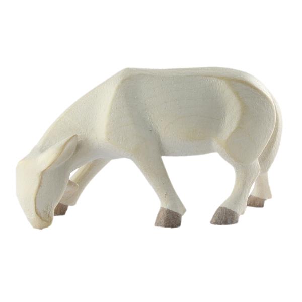 Schaf äsend Schaf äsend