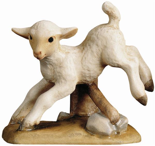 Lamm über Zaun Lamm über Zaun