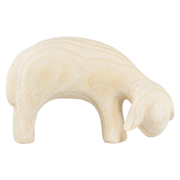 Schaf grasend Schaf grasend