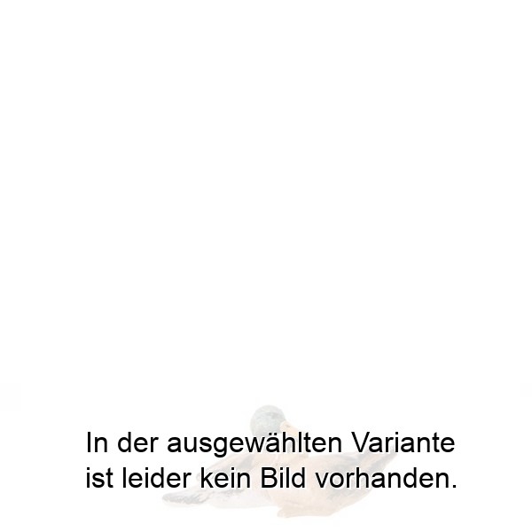 Wildentengruppe Wildentengruppe