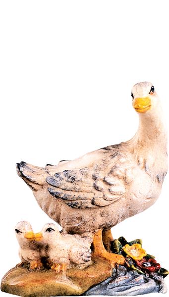 Gänsegruppe