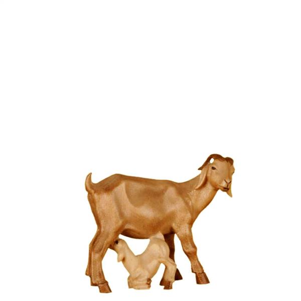 Burenziegenmutter mit Zicklein Burenziegenmutter mit Zicklein