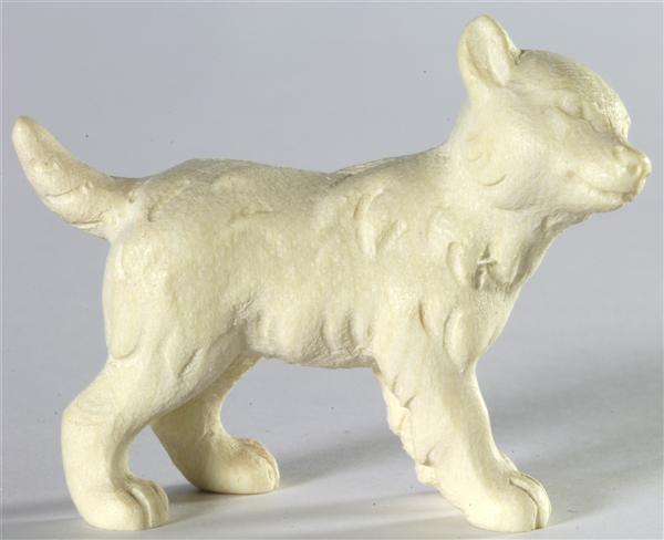 Wolfswelpe - Kopf nach rechts Wolfswelpe - Kopf nach rechts