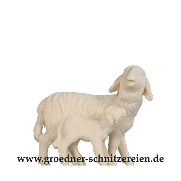 Schaf mit Lamm Schaf mit Lamm
