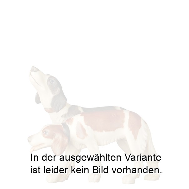 Hundegruppe Hundegruppe