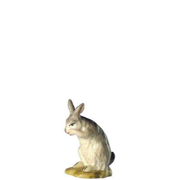 Hase stehend