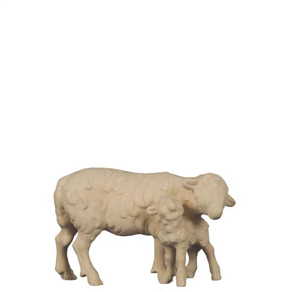 Schaf mit Lamm stehend Schaf mit Lamm stehend