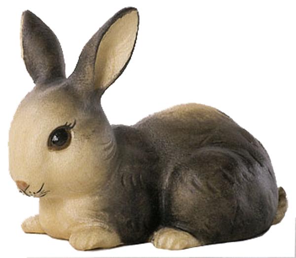 Hase liegend