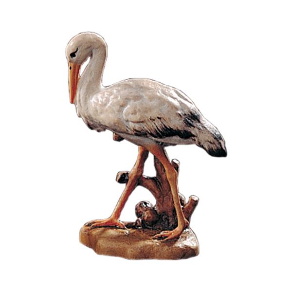 Storch