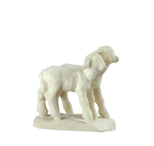 Lammgruppe Nr.91 Lammgruppe Nr.91