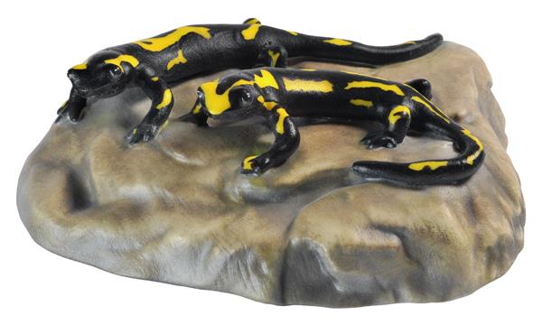 Salamanderpaar auf Stein Salamanderpaar auf Stein