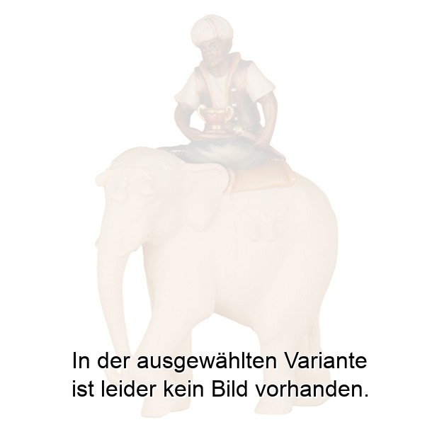 Elefantenreiter ( ohne Elefant )