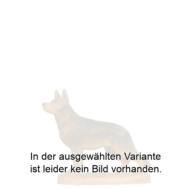 Schäferhund