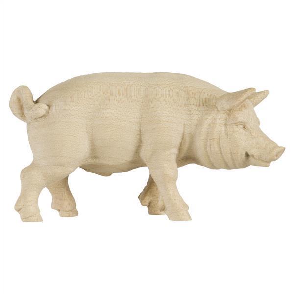 Schwein