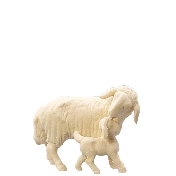 Schaf mit Lamm Schaf mit Lamm