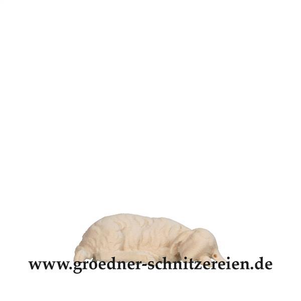 Lamm schlafend Lamm schlafend