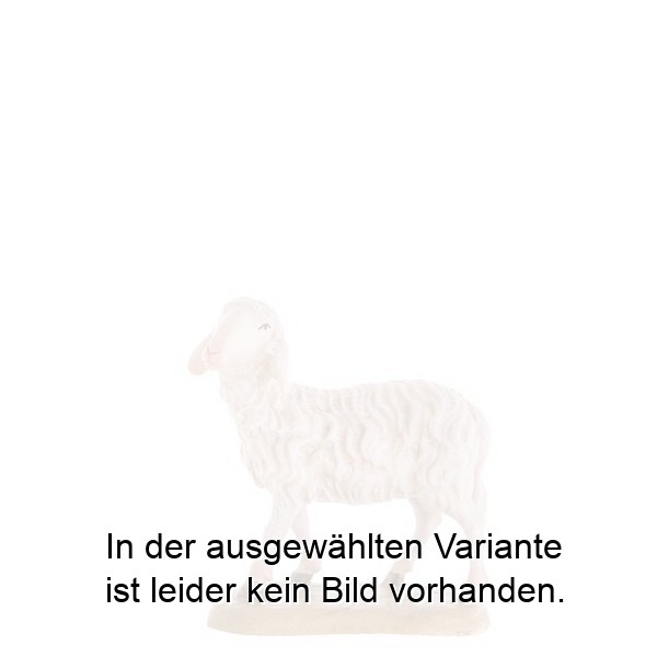 Schaf stehend Schaf stehend