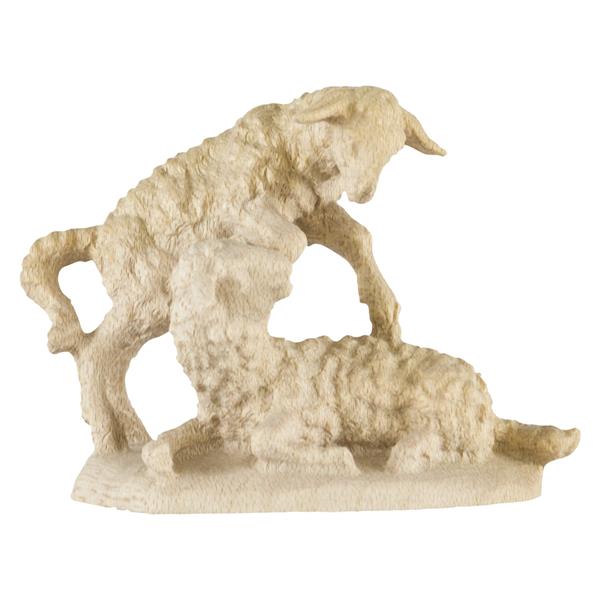 Lammgruppe Lammgruppe