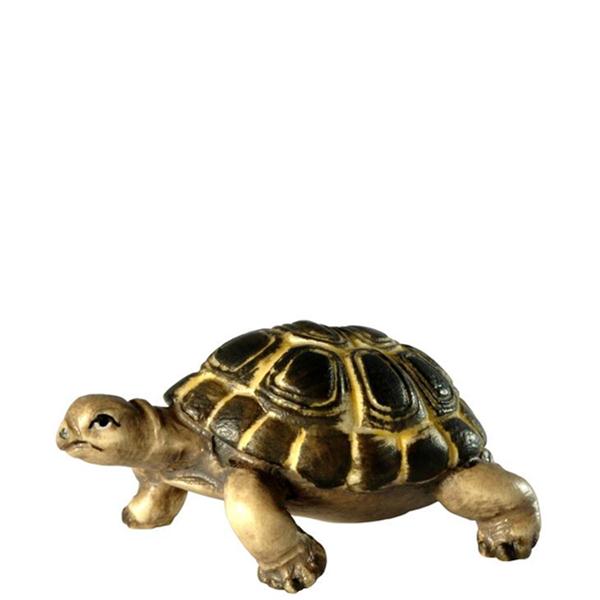 Landschildkröte