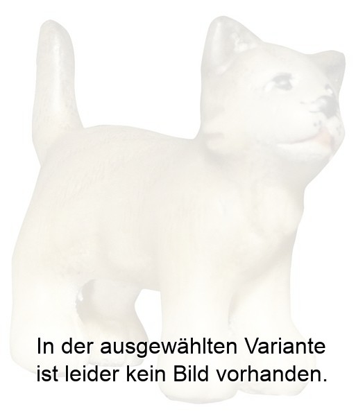 Katze