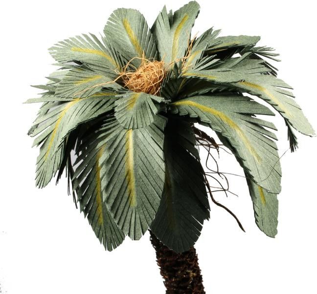 Palme Palme