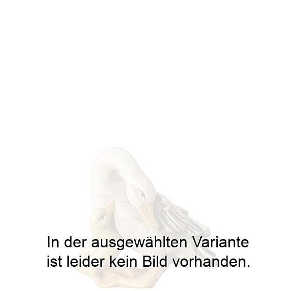 Gans mit Küken Gans mit Küken