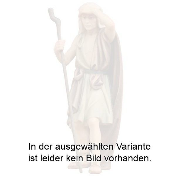 Kameltreiber Kameltreiber