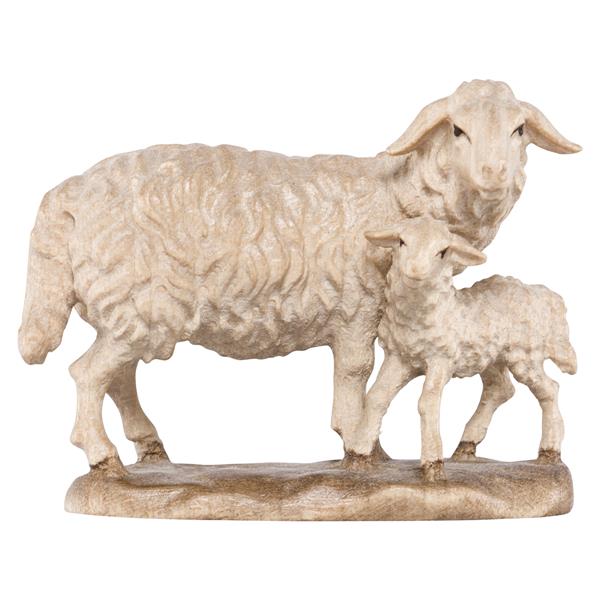 Schaf stehend mit Lamm Schaf stehend mit Lamm