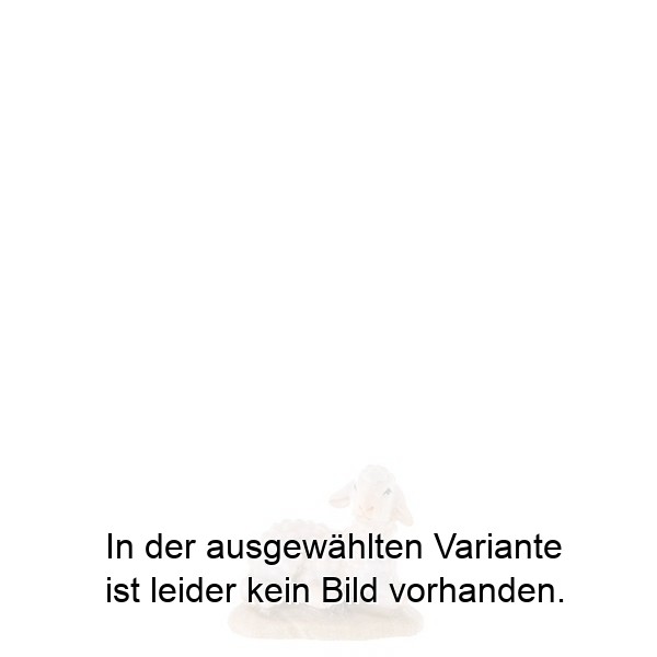 Lamm liegend Lamm liegend