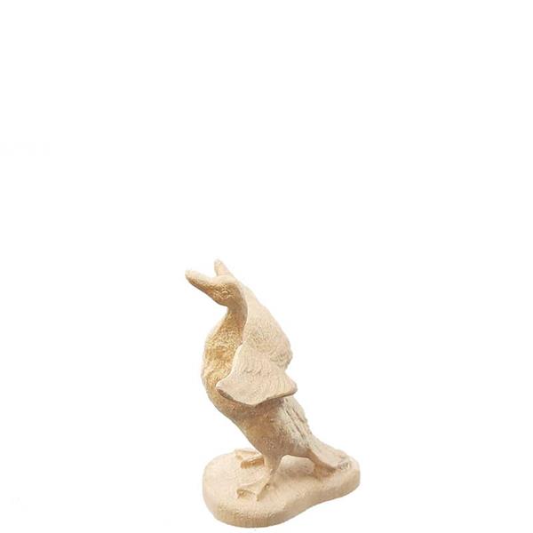 Gans flatternd Gans flatternd