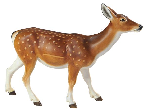 Damhirschkuh Damhirschkuh