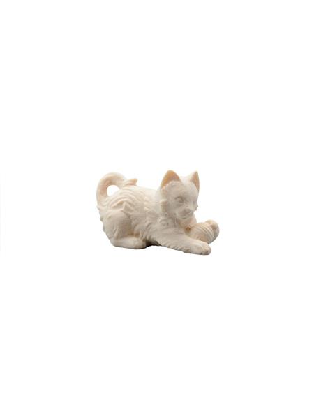 Katze Katze