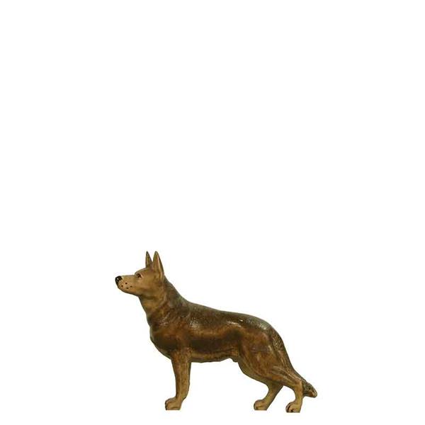 Schäferhund Schäferhund