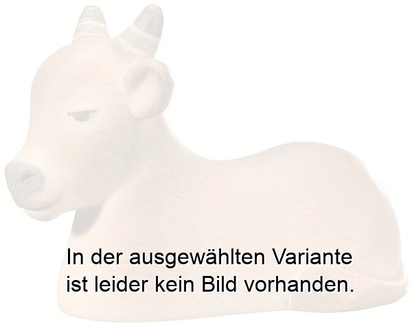 Ochs liegend
