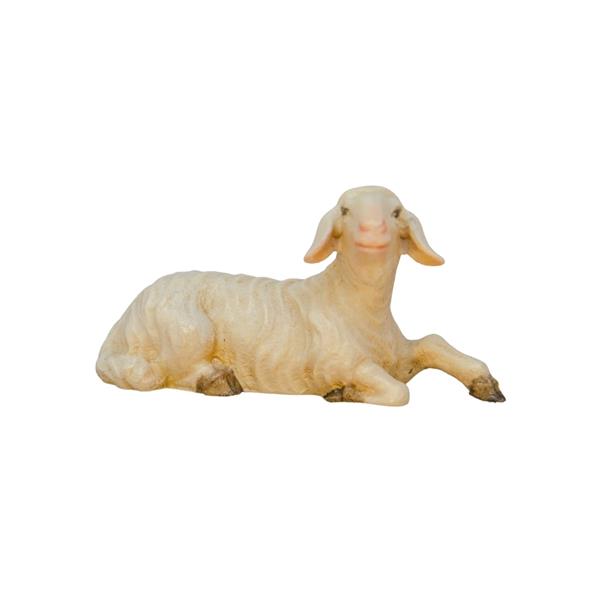 Schaf liegend