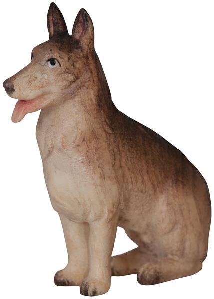 Schäferhund
