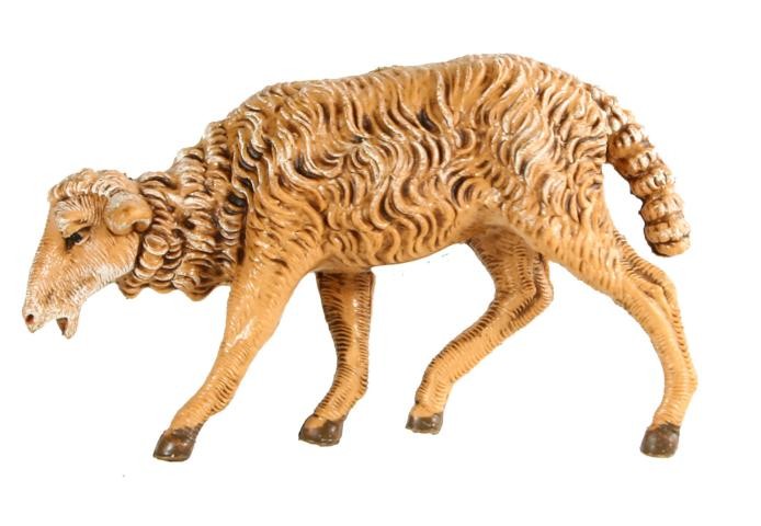 Schaf äsend Schaf äsend