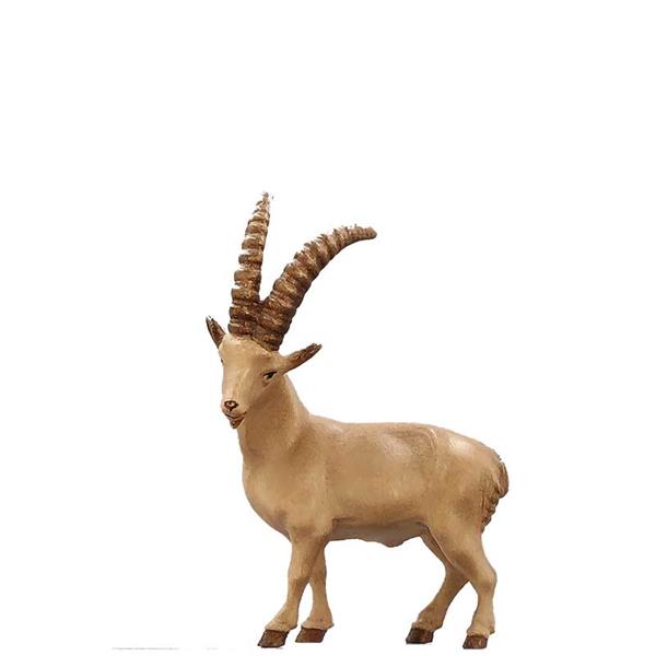 Steinbock Steinbock