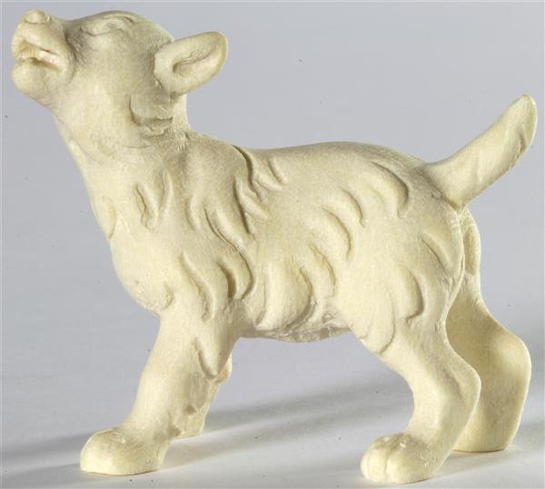 Wolfswelpe - Kopf nach links Wolfswelpe - Kopf nach links