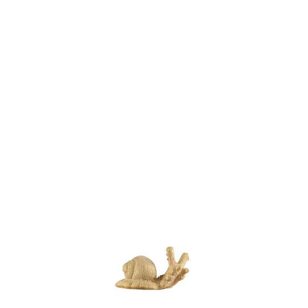 Kleine Schnecke
