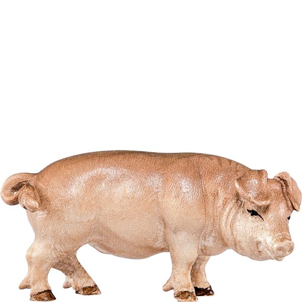 Schwein