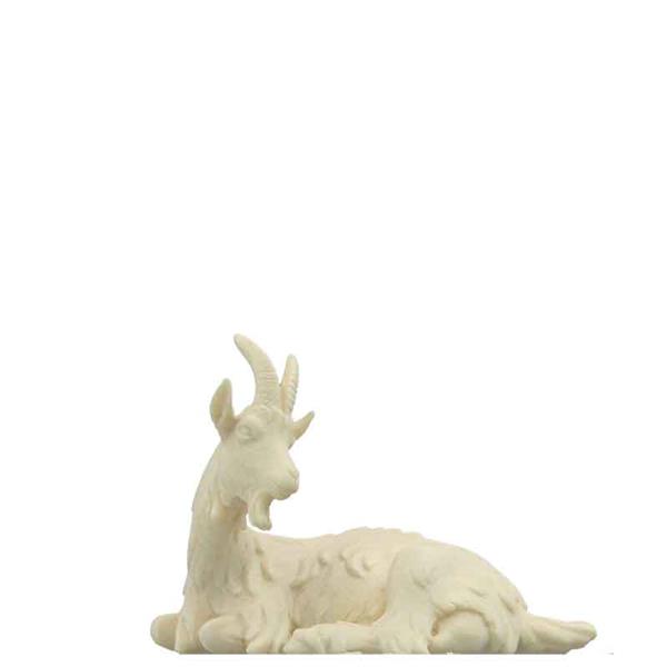 Ziege liegend Ziege liegend