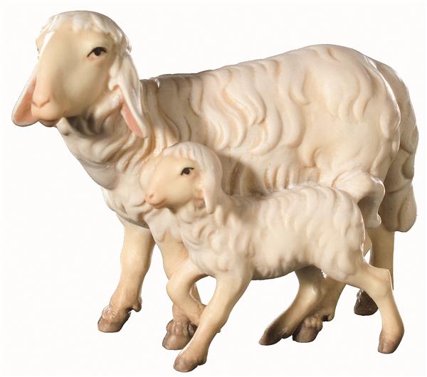 Schafgruppe stehend Schafgruppe stehend