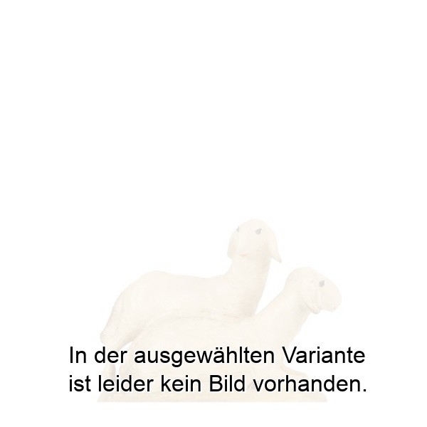 Schafgruppe