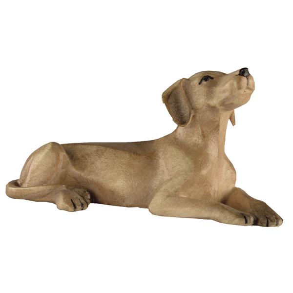 Hirtenhund Hirtenhund