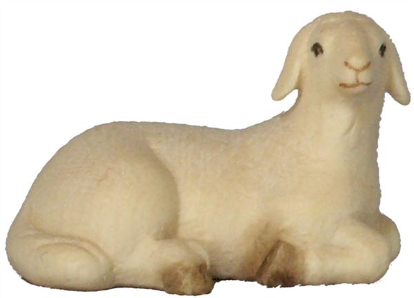 Schaf liegend Schaf liegend